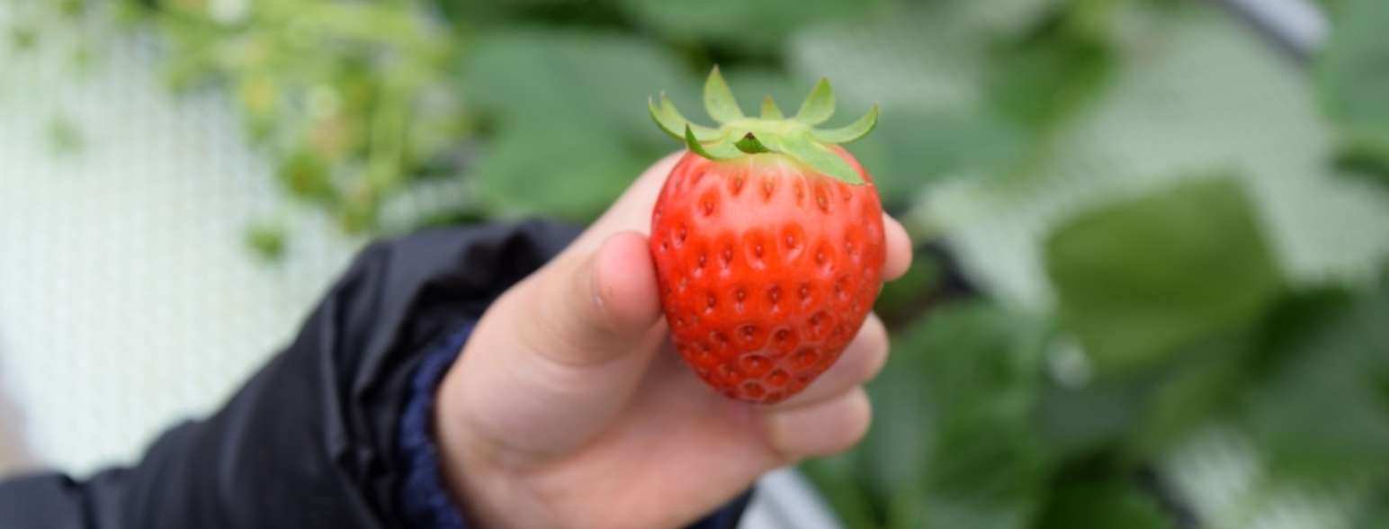 食べながらふれあう