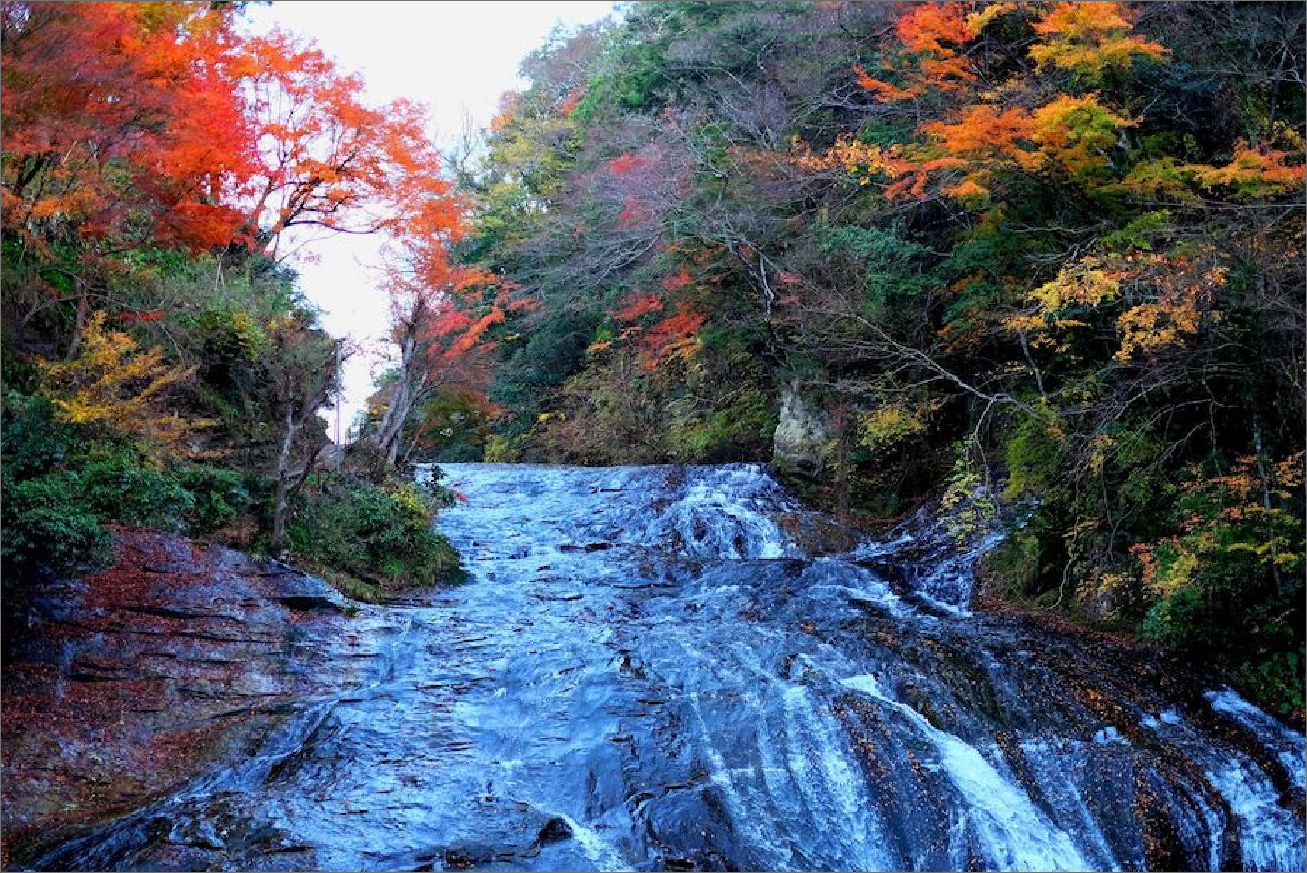 養老渓谷紅葉見学